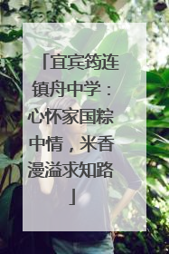 宜宾筠连镇舟中学：心怀家国粽中情，米香漫溢求知路