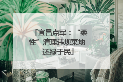 宜昌点军：“柔性”清理违规菜地 还绿于民