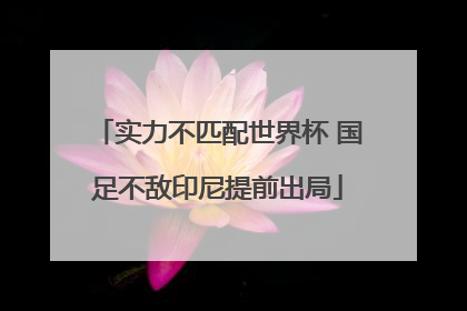 实力不匹配世界杯 国足不敌印尼提前出局