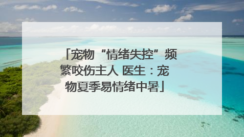 宠物“情绪失控”频繁咬伤主人 医生：宠物夏季易情绪中暑