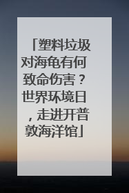 塑料垃圾对海龟有何致命伤害？世界环境日，走进开普敦海洋馆