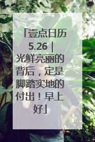 壹点日历5.26｜光鲜亮丽的背后，定是脚踏实地的付出！早上好