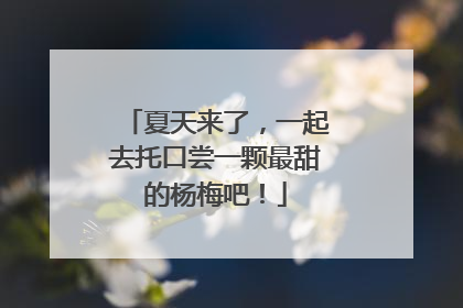 夏天来了，一起去托口尝一颗最甜的杨梅吧！