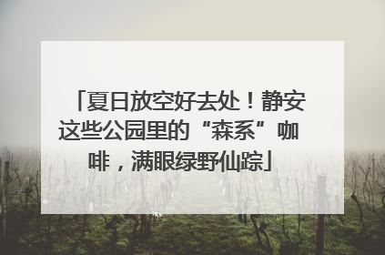 夏日放空好去处！静安这些公园里的“森系”咖啡，满眼绿野仙踪
