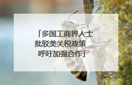 多国工商界人士批驳美关税政策 呼吁加强合作