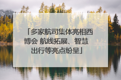 多家航司集体亮相西博会 航线拓展、智慧出行等亮点纷呈