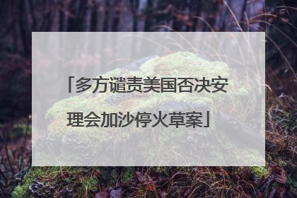 多方谴责美国否决安理会加沙停火草案