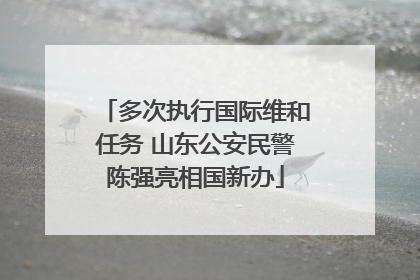 多次执行国际维和任务 山东公安民警陈强亮相国新办