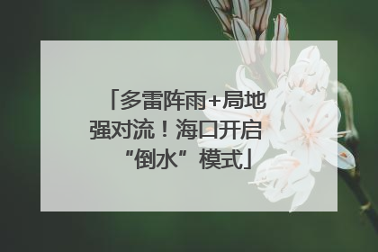 多雷阵雨+局地强对流！海口开启“倒水”模式