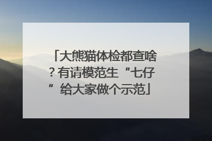 大熊猫体检都查啥？有请模范生“七仔”给大家做个示范