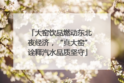 大窑饮品燃动东北夜经济，“真大窑”诠释汽水品质坚守