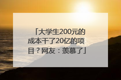 大学生200元的成本干了20亿的项目？网友：羡慕了