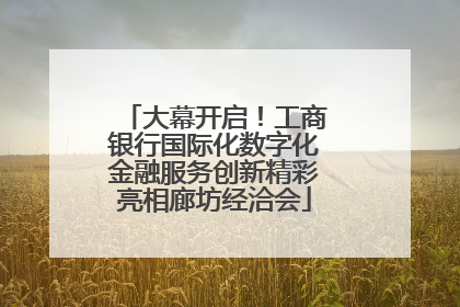 大幕开启！工商银行国际化数字化金融服务创新精彩亮相廊坊经洽会