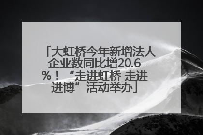 大虹桥今年新增法人企业数同比增20.6%！“走进虹桥 走进进博”活动举办