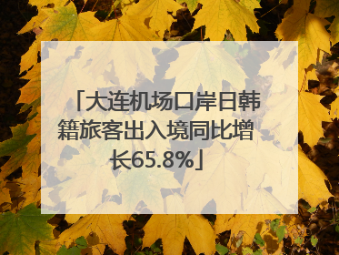 大连机场口岸日韩籍旅客出入境同比增长65.8%