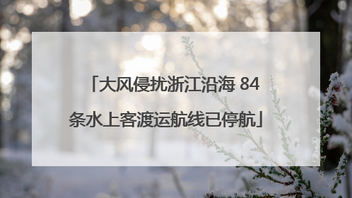 大风侵扰浙江沿海 84条水上客渡运航线已停航