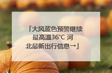 大风蓝色预警继续 最高温36℃ 河北最新出行信息→