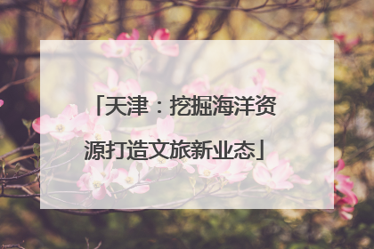天津：挖掘海洋资源打造文旅新业态