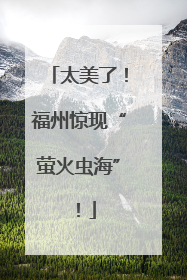太美了！福州惊现“萤火虫海”！