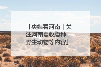 央媒看河南｜关注河南夏收夏种 野生动物等内容