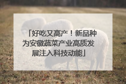 好吃又高产！新品种为安徽蔬菜产业高质发展注入科技动能