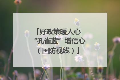 好政策暖人心 “孔雀蓝”增信心（国防视线）