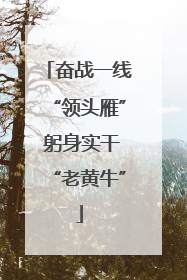奋战一线“领头雁” 躬身实干“老黄牛”
