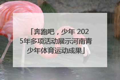 奔跑吧，少年 2025年多项活动展示河南青少年体育运动成果