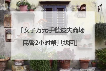女子万元手链遗失商场 民警2小时帮其找回