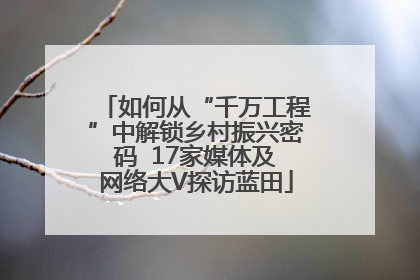 如何从“千万工程”中解锁乡村振兴密码  17家媒体及网络大V探访蓝田