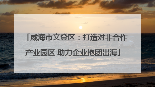 威海市文登区：打造对非合作产业园区 助力企业抱团出海