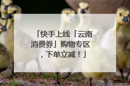 快手上线「云南消费券」购物专区，下单立减！