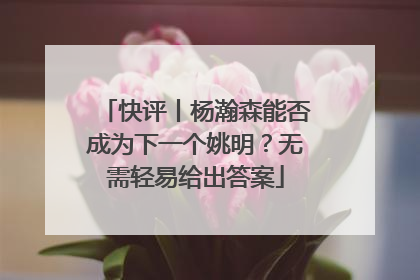 快评丨杨瀚森能否成为下一个姚明？无需轻易给出答案