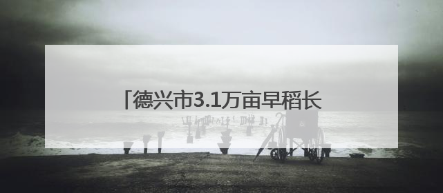 德兴市3.1万亩早稻长势喜人 丰收在望（图）