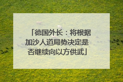 德国外长：将根据加沙人道局势决定是否继续向以方供武