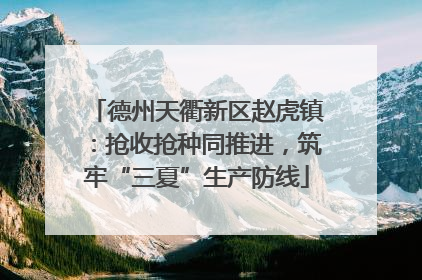 德州天衢新区赵虎镇：抢收抢种同推进，筑牢“三夏”生产防线