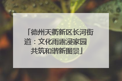 德州天衢新区长河街道：文化雨露浸家园 共筑和谐新图景