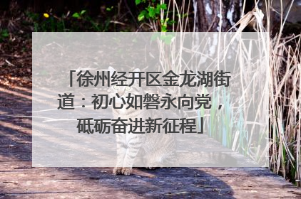徐州经开区金龙湖街道：初心如磐永向党，砥砺奋进新征程