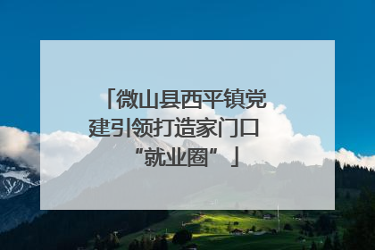微山县西平镇党建引领打造家门口“就业圈”