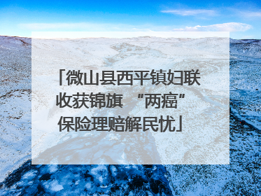 微山县西平镇妇联收获锦旗 “两癌”保险理赔解民忧