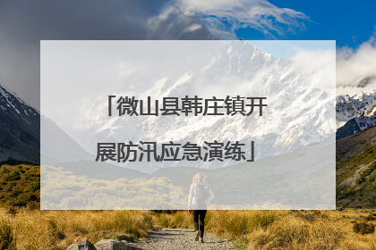 微山县韩庄镇开展防汛应急演练