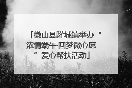 微山县驩城镇举办“浓情端午·圆梦微心愿”爱心帮扶活动