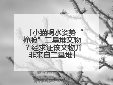 小猫喝水姿势“撞脸”三星堆文物？经求证该文物并非来自三星堆