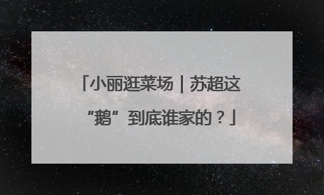 小丽逛菜场｜苏超这“鹅”到底谁家的？