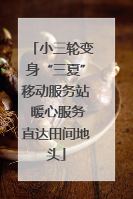 小三轮变身“三夏”移动服务站 暖心服务直达田间地头