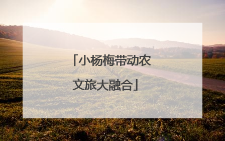 小杨梅带动农文旅大融合