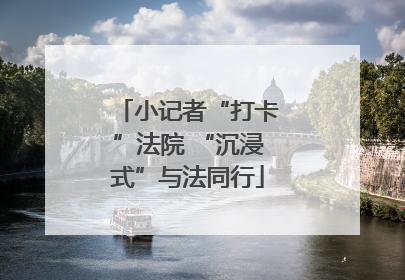 小记者“打卡”法院 “沉浸式”与法同行