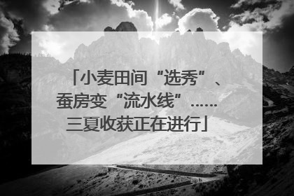 小麦田间“选秀”、蚕房变“流水线”……三夏收获正在进行