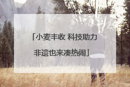 小麦丰收 科技助力 非遗也来凑热闹