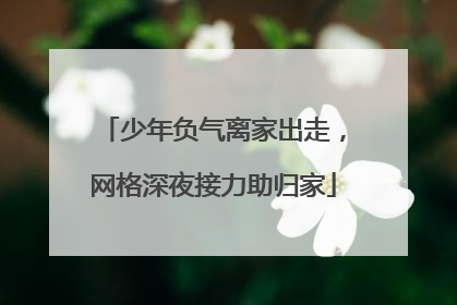 少年负气离家出走，网格深夜接力助归家